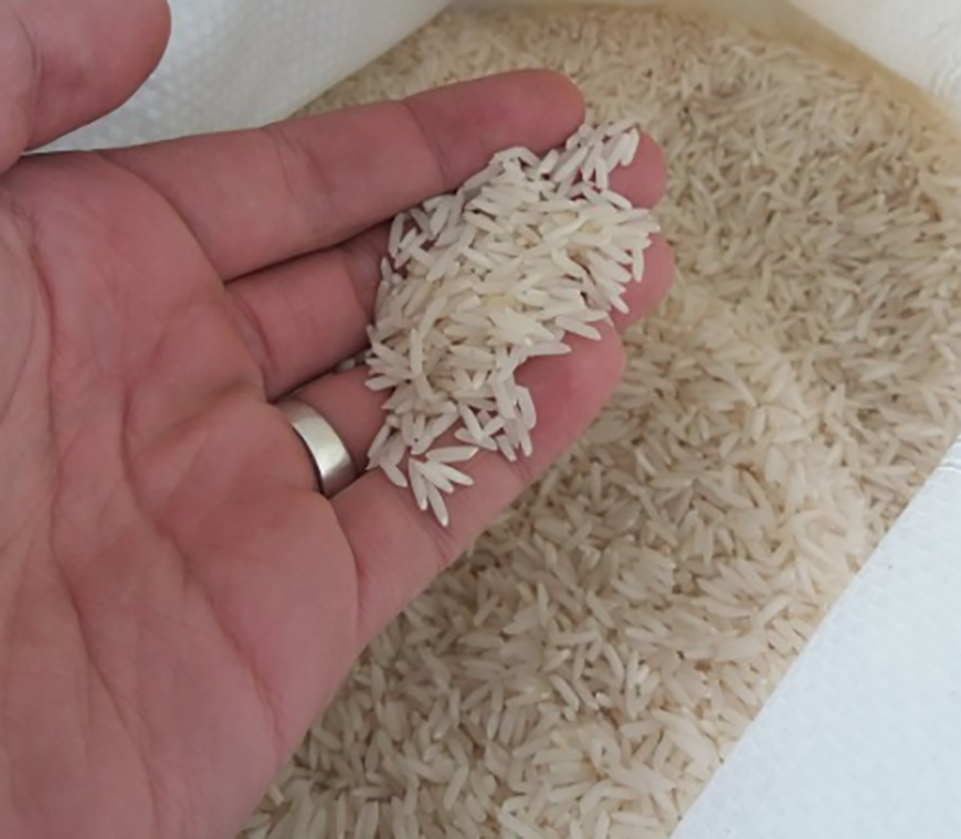 برنج شیرودی اصل ممتاز درجه1