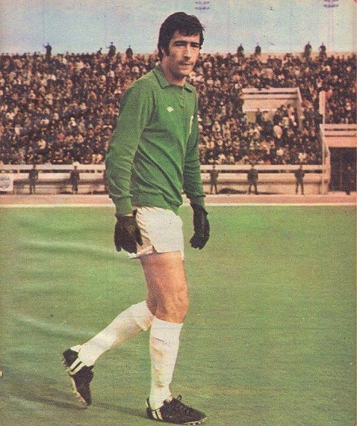 ناصر حجازی