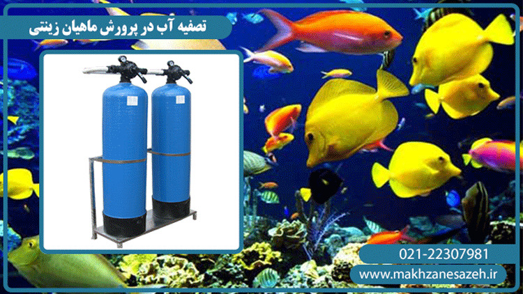 تصفیه آب پرورش ماهیان زینتی