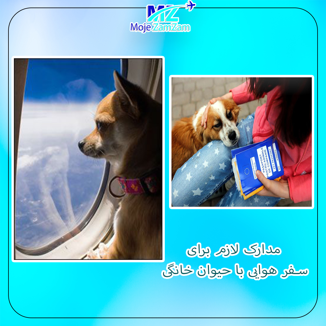 مدارک لازم برای سفر هوایی با حیوان خانگی